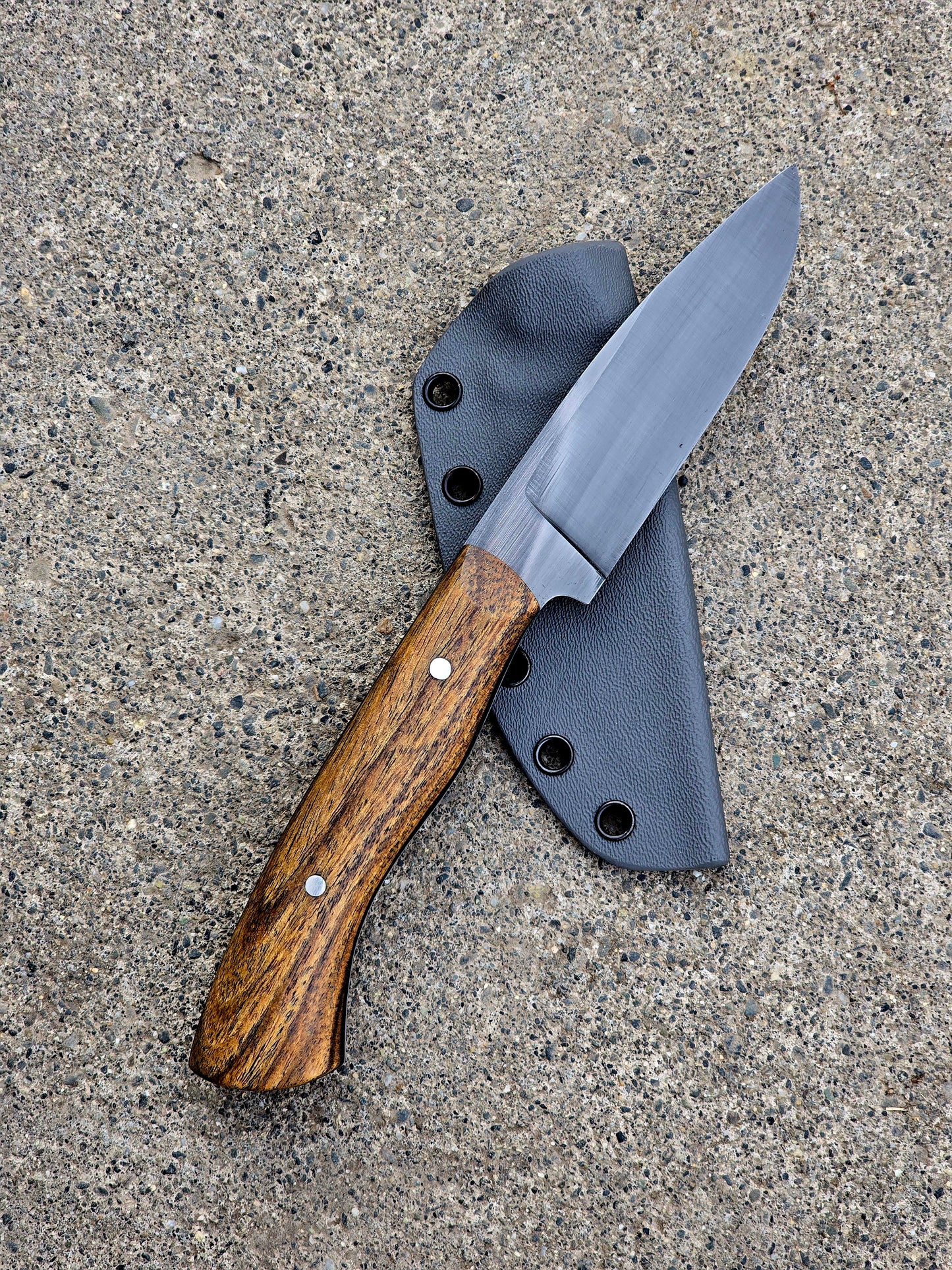 Morado Chinook