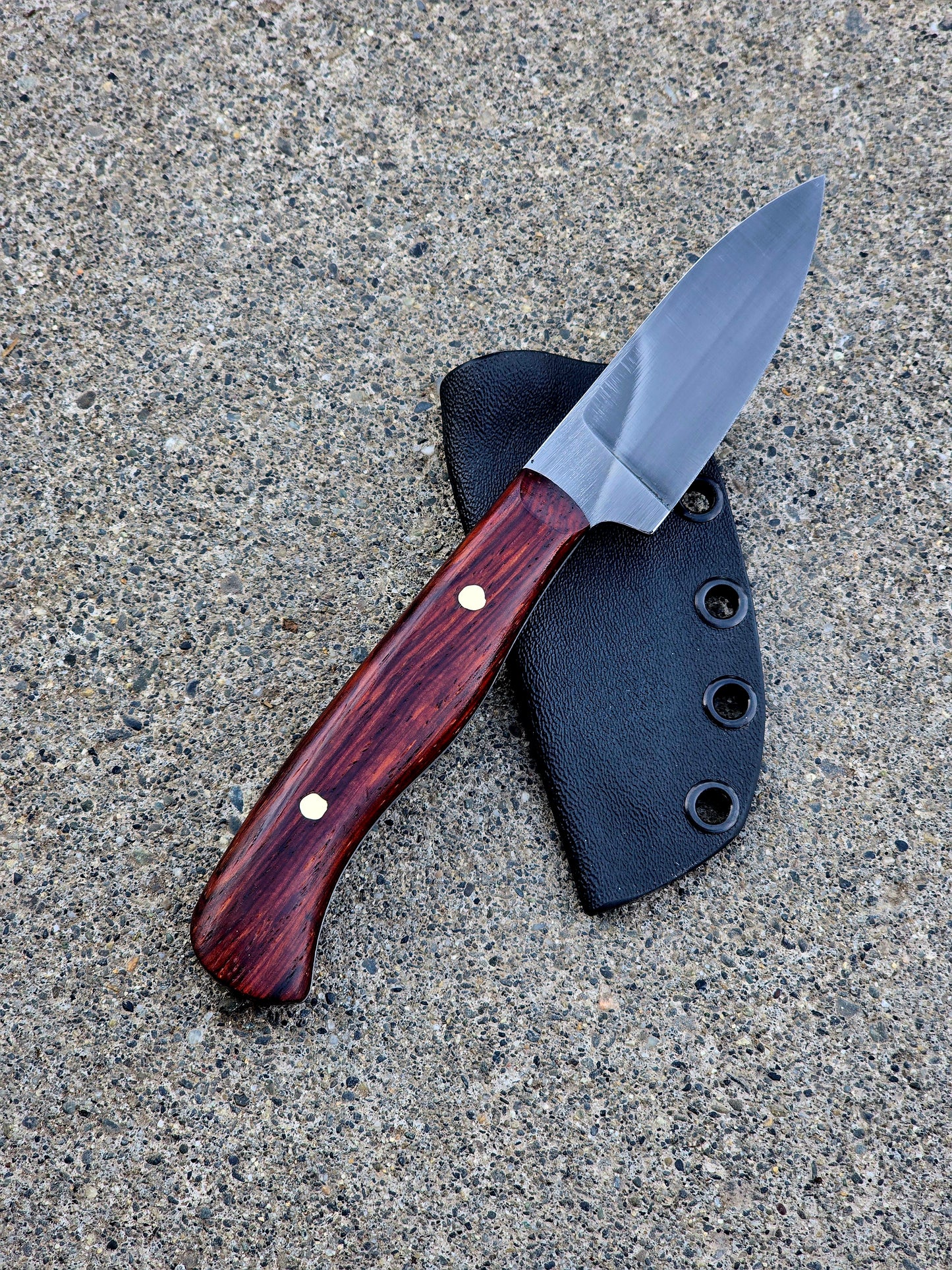 Cocobolo Chickadee